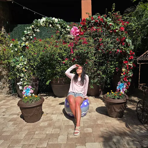 - SK (Local Guide) -